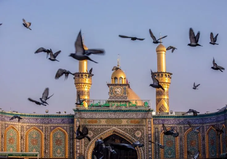 Hazrat Ali Pegion Around Shrine Abu Turab: Maula Hazrat Ali Ka Famous Laqab | Waqia